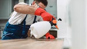 Best Real Estate Pest Inspections  in Altamont, NY